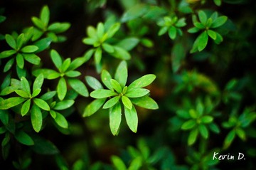 20111030-DSC01806.jpg