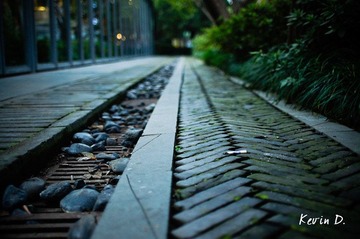 20111030-DSC01851.jpg