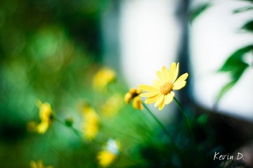 20111112-DSC01997.jpg