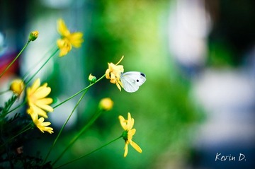 20111112-DSC02005.jpg