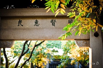 20111112-DSC02103.jpg