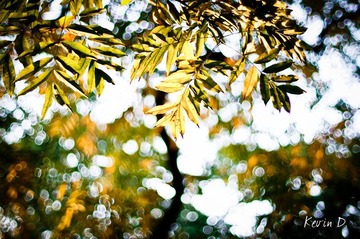 20111112-DSC02111.jpg