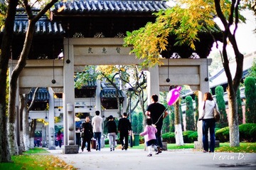 20111112-DSC02098.jpg