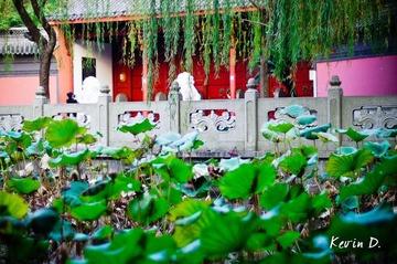 20111112-DSC02130.jpg