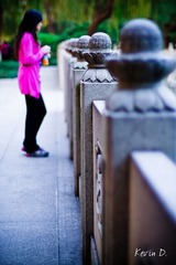 20111112-DSC02136.jpg