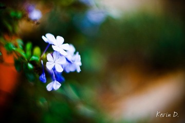 20111112-DSC02148.jpg
