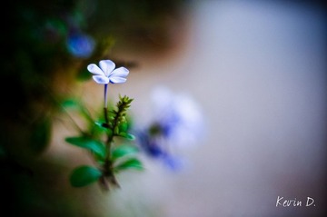 20111112-DSC02150.jpg