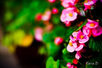20111112-DSC02151.jpg