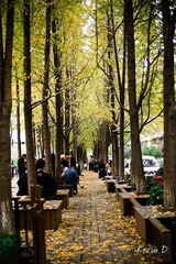 20111119-DSC02328.jpg