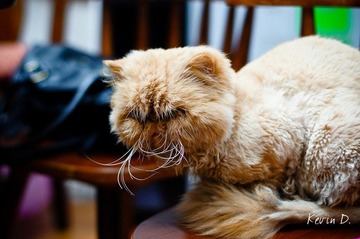 20111228-DSC02506.jpg