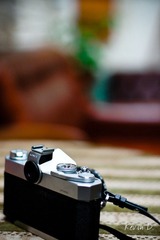 20111228-DSC02509.jpg