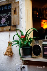 20111228-DSC02514.jpg