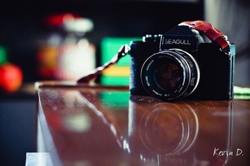 20120104-DSC02627.jpg