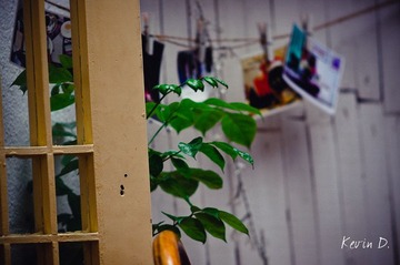 20120130-DSC03055.jpg
