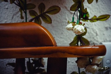 20120130-DSC03061.jpg