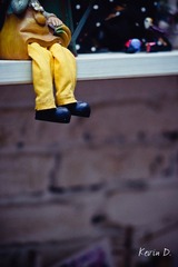 20120130-DSC03072.jpg