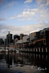 20120207-DSC03168.jpg