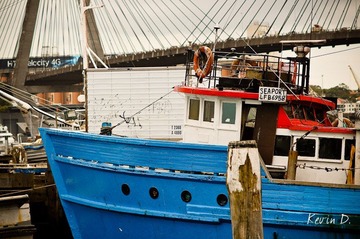 20120210-DSC03269.jpg