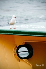 20120210-DSC03290.jpg