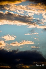 20120210-DSC03433.jpg