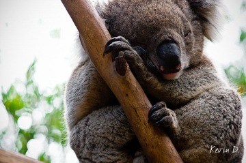 20120212-DSC03549.jpg
