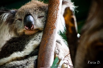20120212-DSC03550.jpg