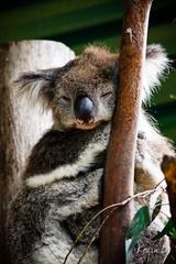 20120212-DSC03551.jpg