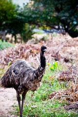 20120212-DSC03556.jpg
