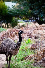 20120212-DSC03557.jpg