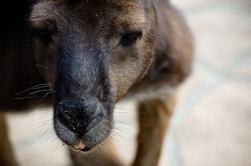 20120212-DSC03558.jpg