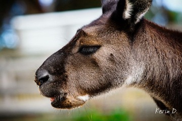 20120212-DSC03559.jpg