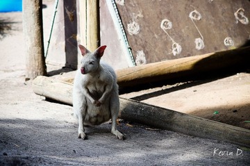 20120212-DSC03562.jpg