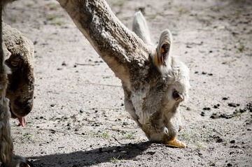 20120212-DSC03571.jpg