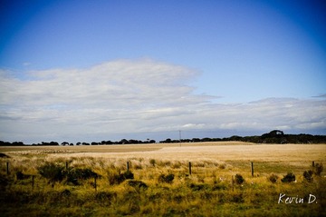 20120212-DSC03600.jpg