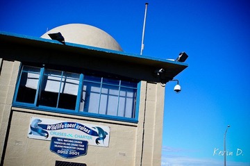 20120212-DSC03605.jpg