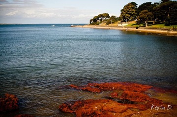 20120212-DSC03611.jpg
