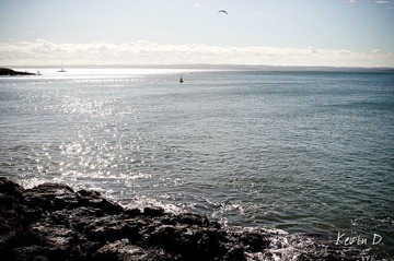 20120212-DSC03620.jpg