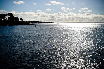 20120212-DSC03634.jpg