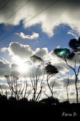 20120212-DSC03675.jpg