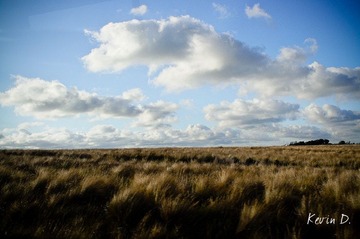 20120212-DSC03683.jpg