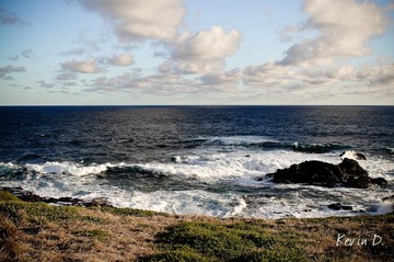 20120212-DSC03700.jpg