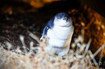 20120212-DSC03724.jpg