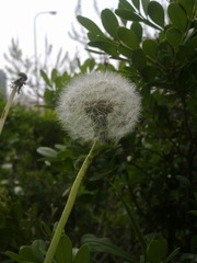 20110430185