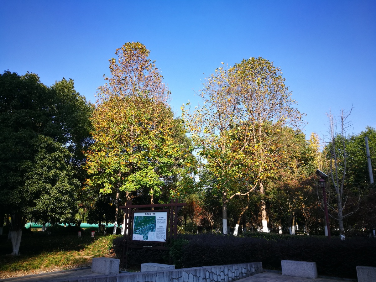 嘉兴市秀洲区春晓公园