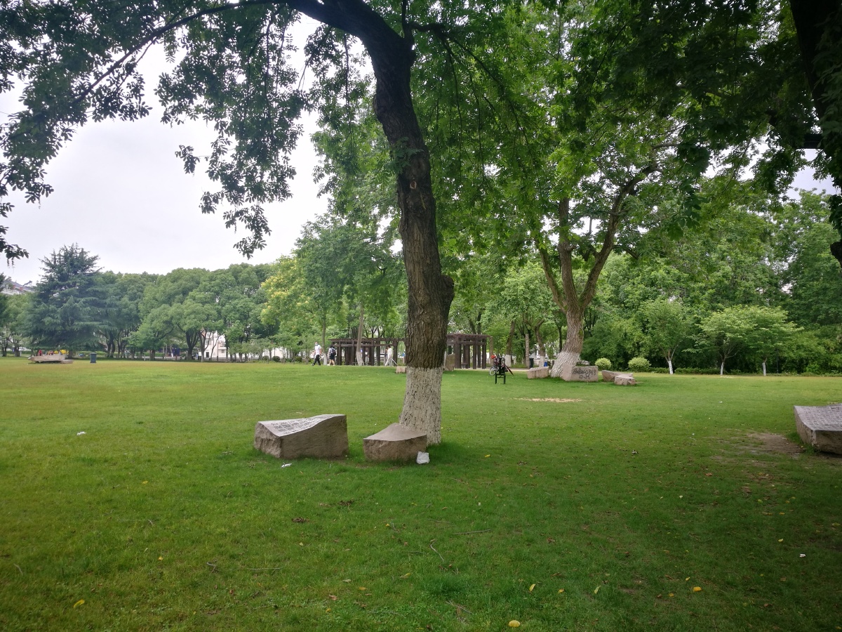 嘉兴杨柳湾幸福里菜市场