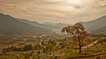 未命名-1.jpg