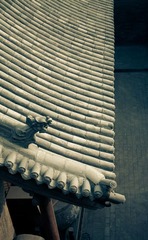 IMG_7853-2