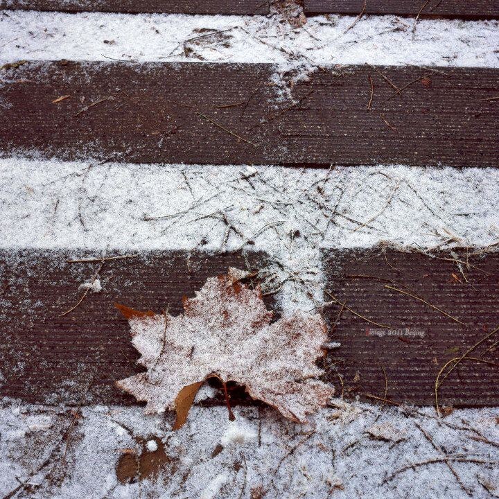 冬<br />
[2012-01-20]<br />
Hasselblad 503CW<br />
FUJI RVP<br />
Epson V500<br />
冲洗：Fira image<br />
<br />
[03]