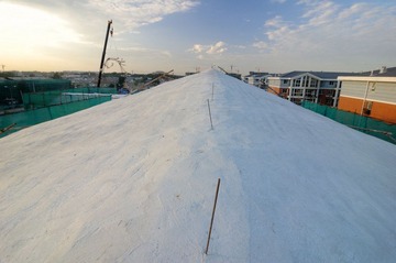 DSC_3903