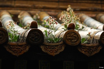 DSC_8797